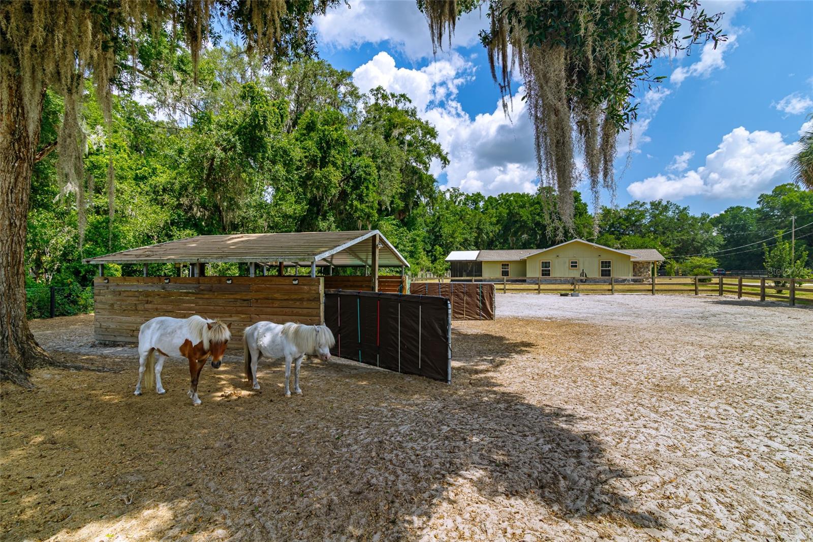 13300 NE 38TH AVE, ANTHONY, FL, 32617