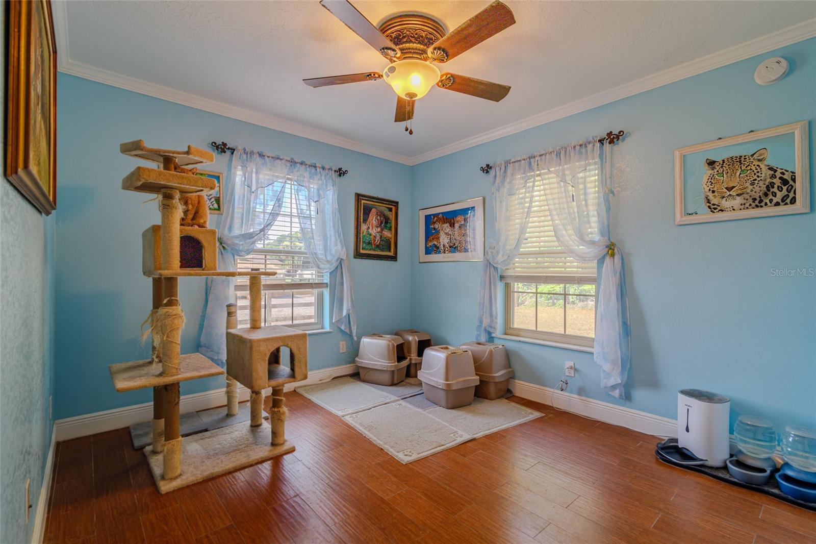 13300 NE 38TH AVE, ANTHONY, FL, 32617