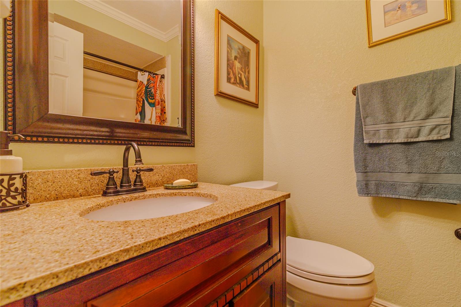13300 NE 38TH AVE, ANTHONY, FL, 32617
