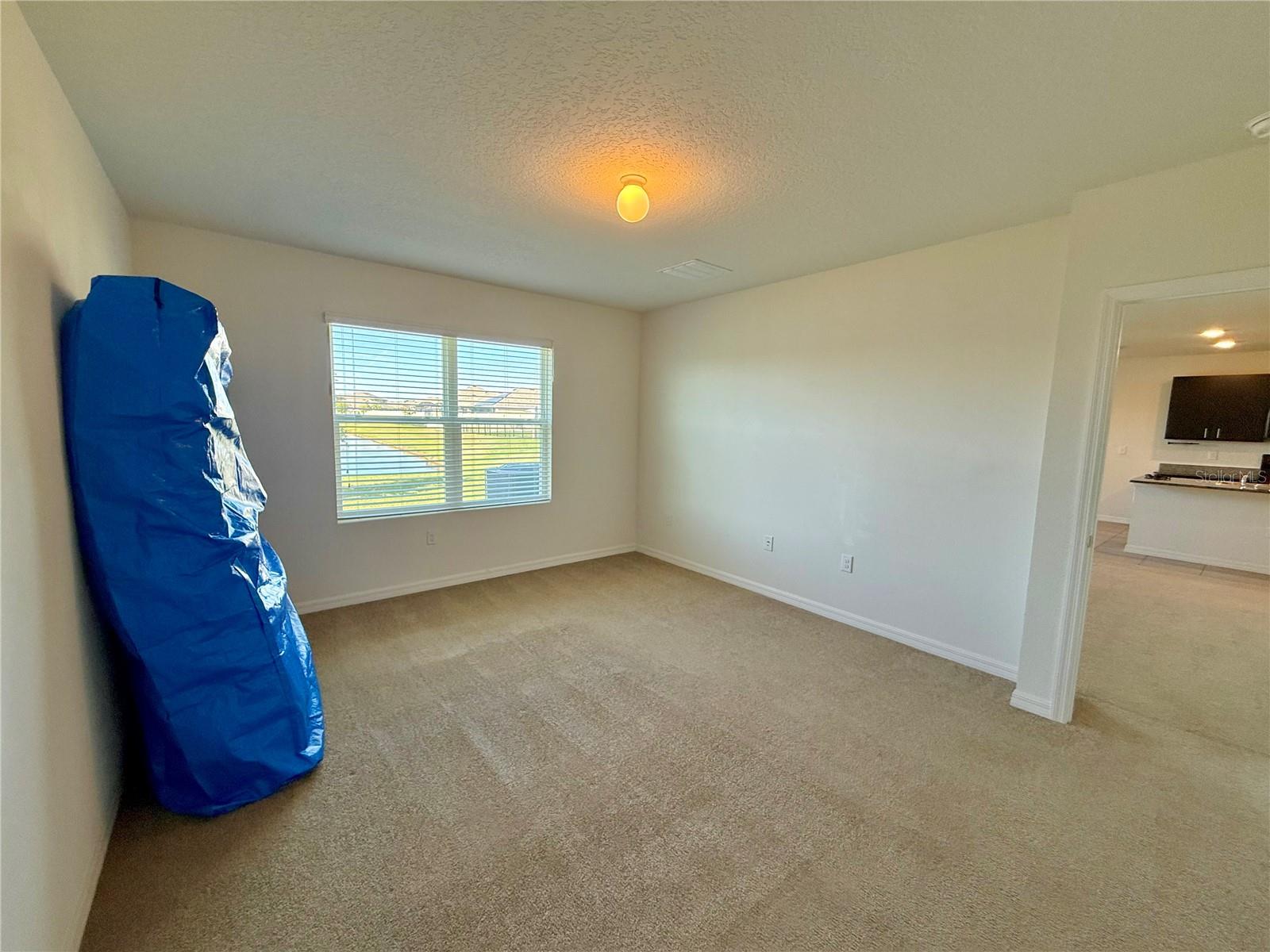 31000 SUMMER SUN LOOP, WESLEY CHAPEL, FL, 33545