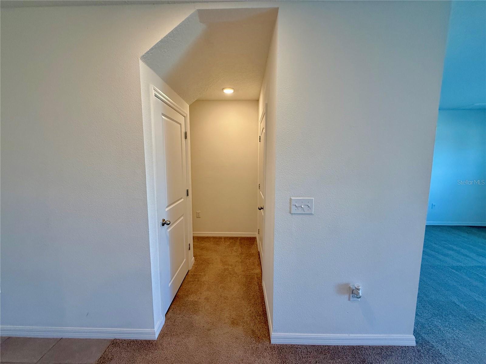31000 SUMMER SUN LOOP, WESLEY CHAPEL, FL, 33545