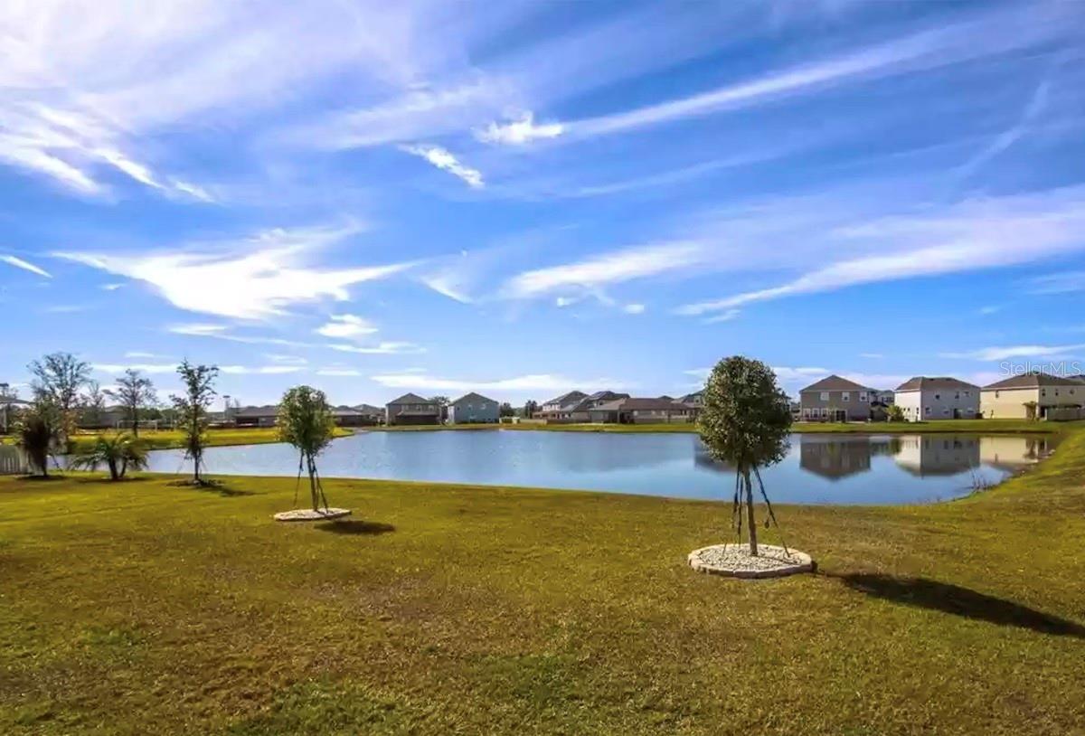 31000 SUMMER SUN LOOP, WESLEY CHAPEL, FL, 33545