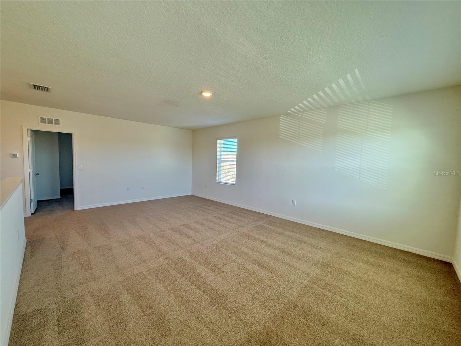 31000 SUMMER SUN LOOP, WESLEY CHAPEL, FL, 33545