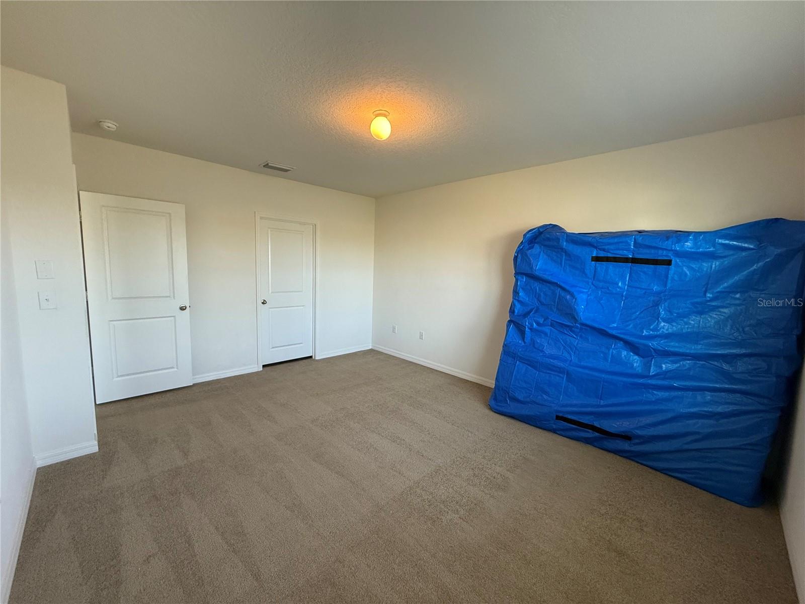 31000 SUMMER SUN LOOP, WESLEY CHAPEL, FL, 33545