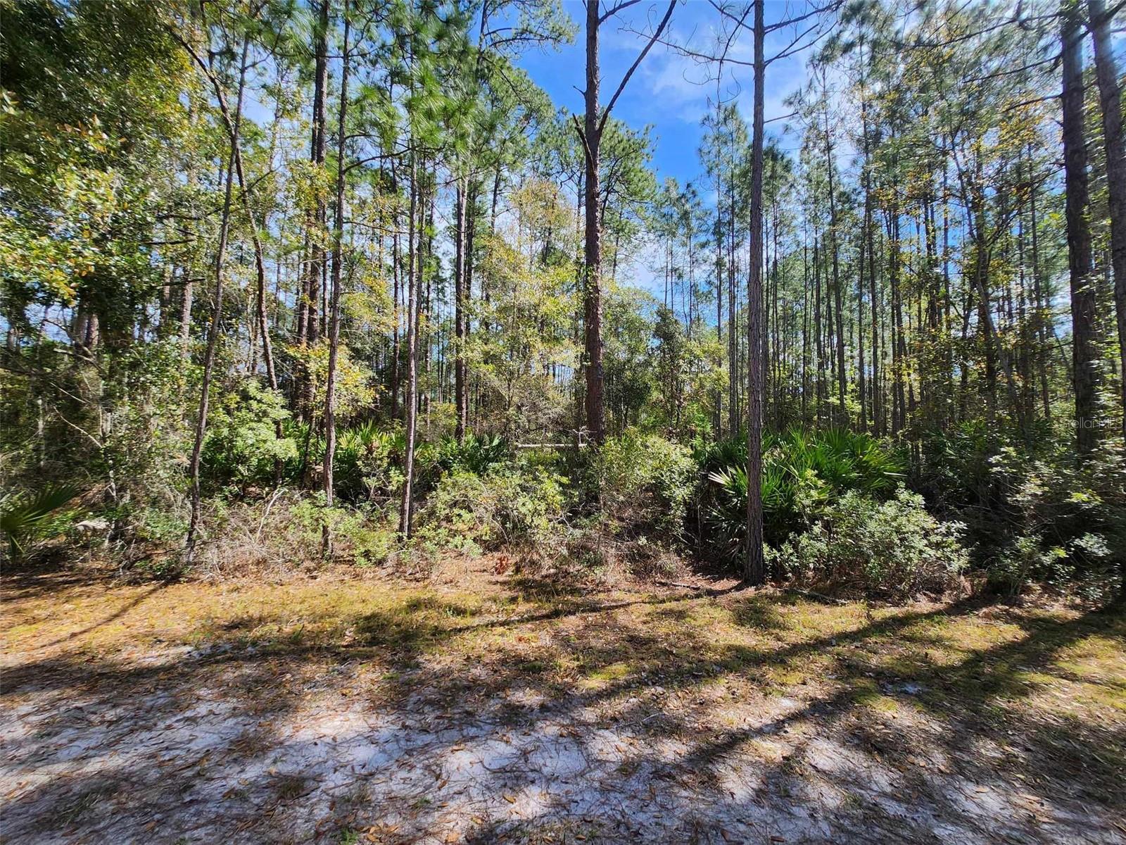 114 MOSSWOOD ST, GEORGETOWN, FL, 32139