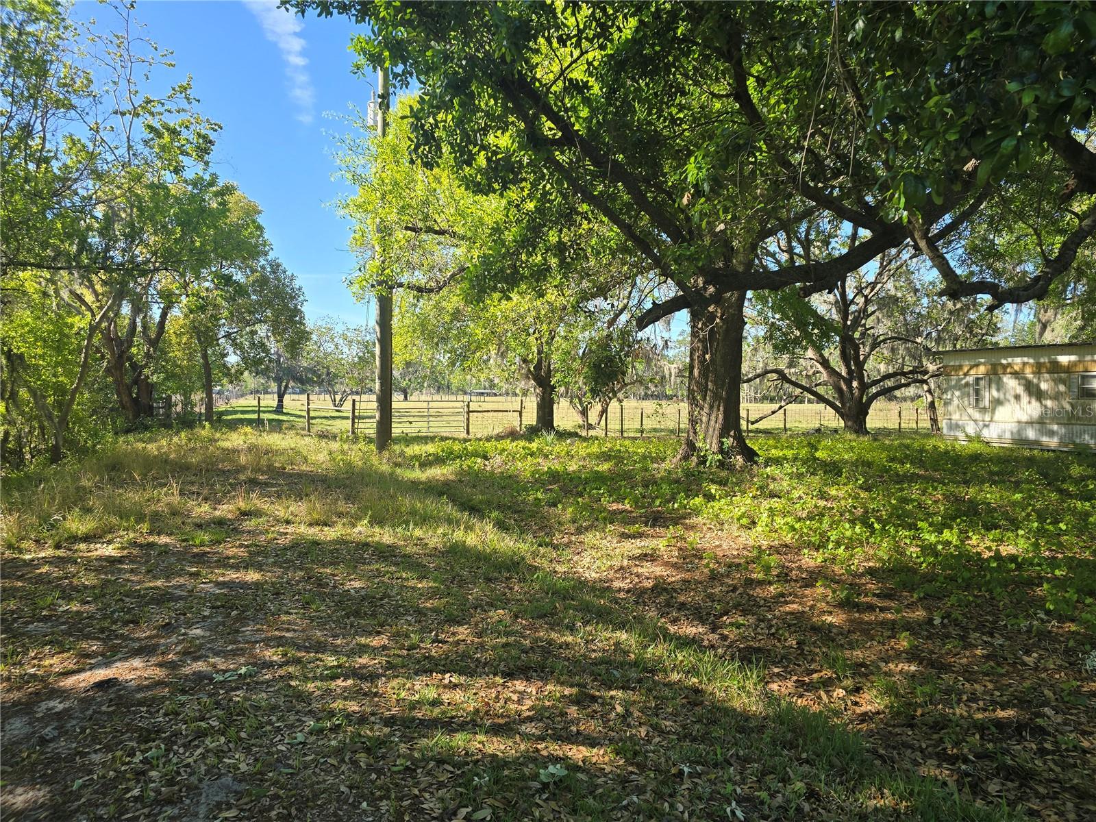 JOHNSON RD, AUBURNDALE, FL, 33823
