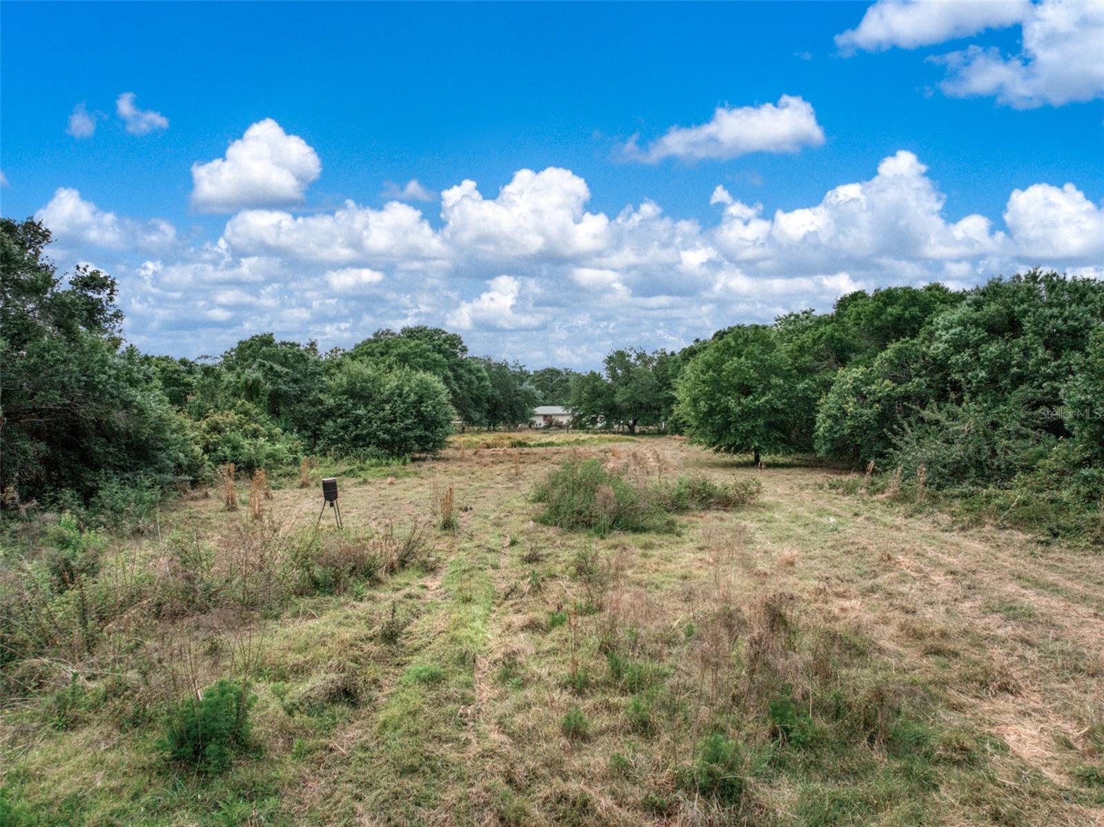 9116 MCROY RD, SEBRING, FL, 33875