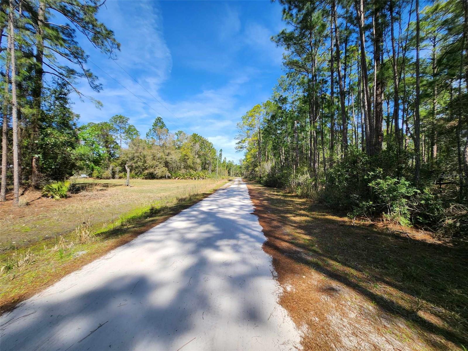 112 MOSSWOOD ST, GEORGETOWN, FL, 32139