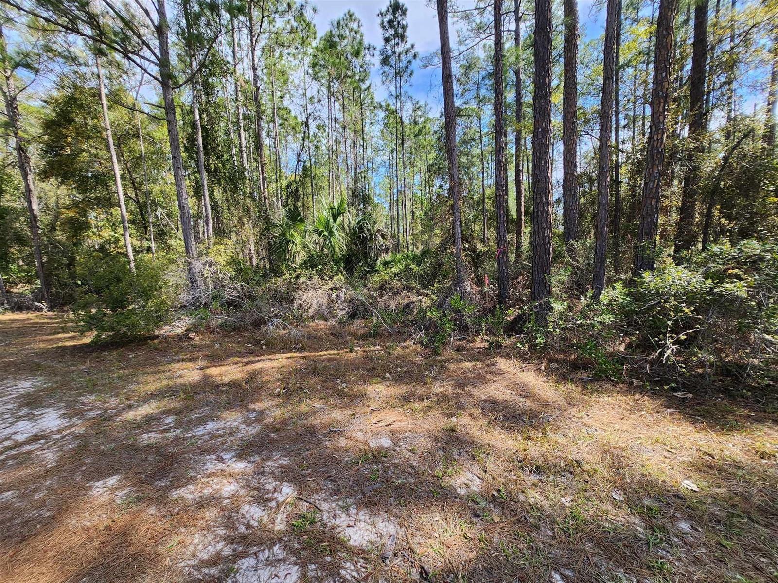 112 MOSSWOOD ST, GEORGETOWN, FL, 32139