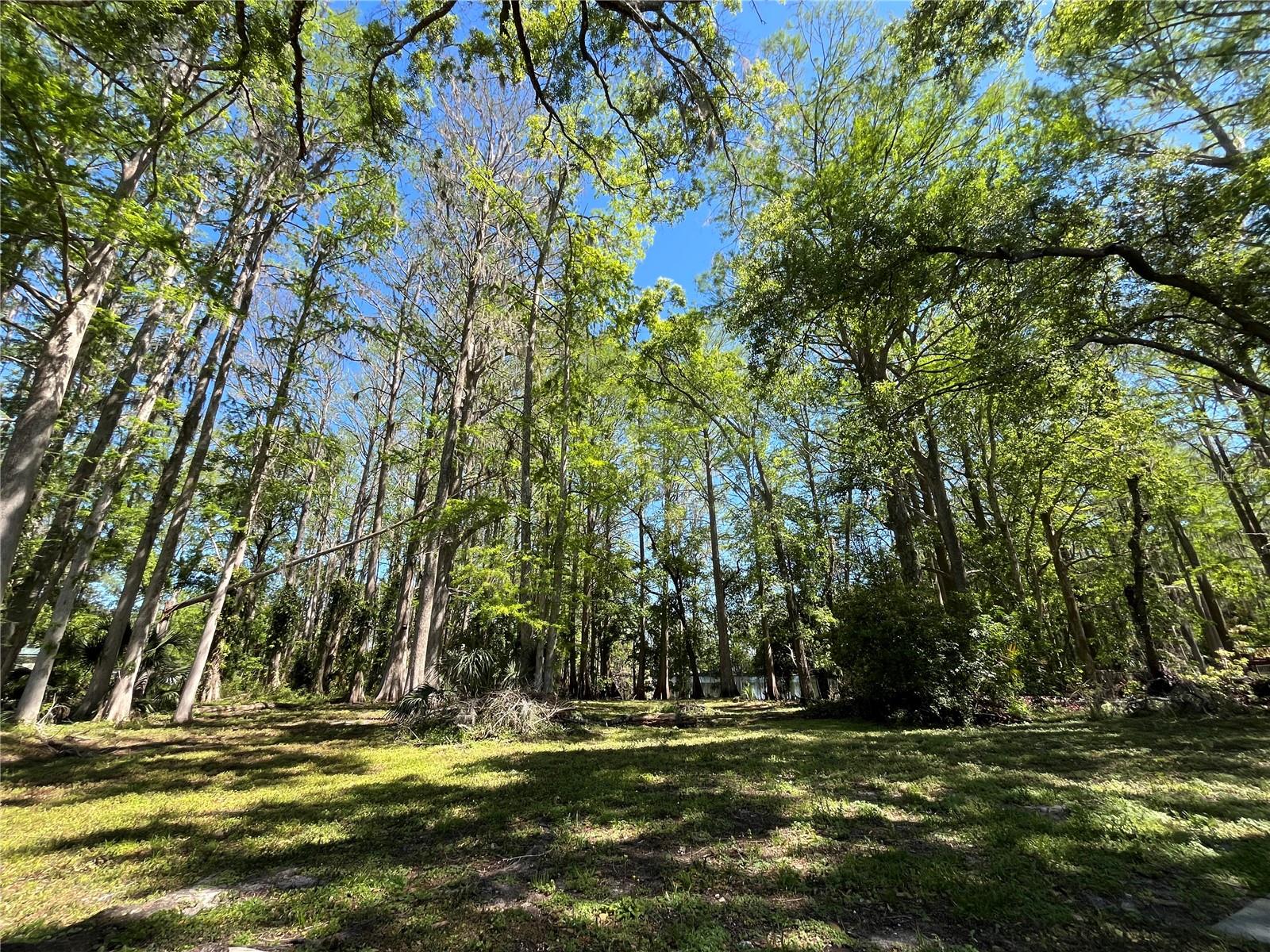 8546 CAMEO DR, NEW PORT RICHEY, FL, 34654