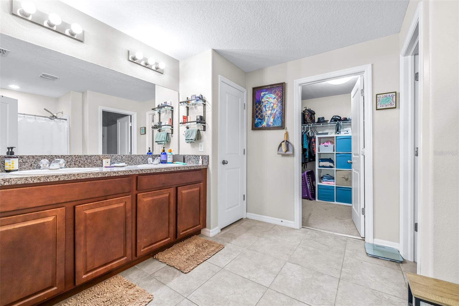 207 ARCHCLIFFE POINT PL, DOVER, FL, 33527