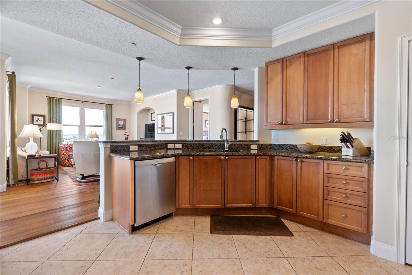 2515 S ATLANTIC AVE #509, DAYTONA BEACH, FL, 32118