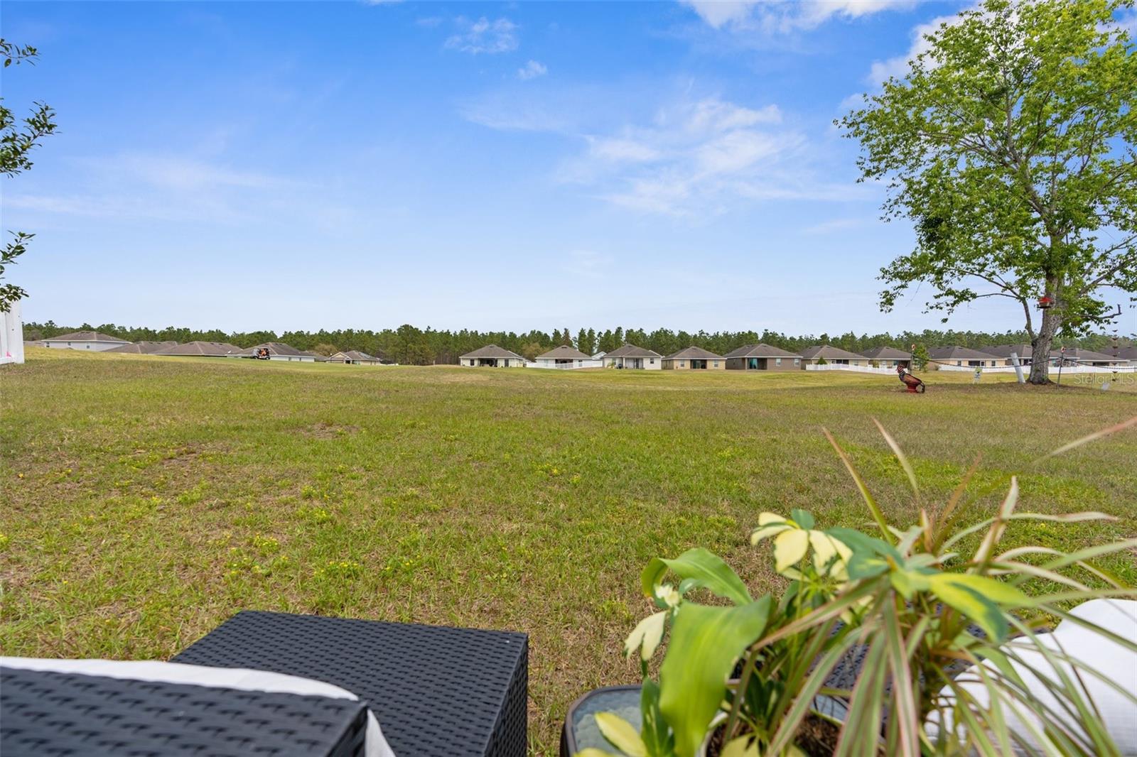 30861 WATER LILY DR, BROOKSVILLE, FL, 34602