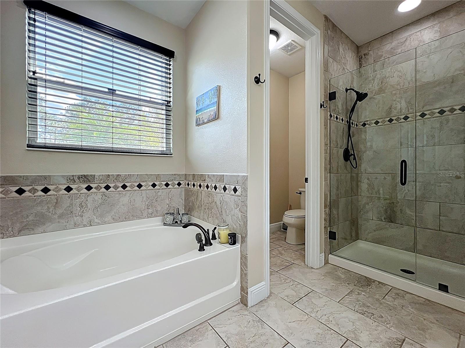 1813 VISTA MEADOWS DR, OCOEE, FL, 34761