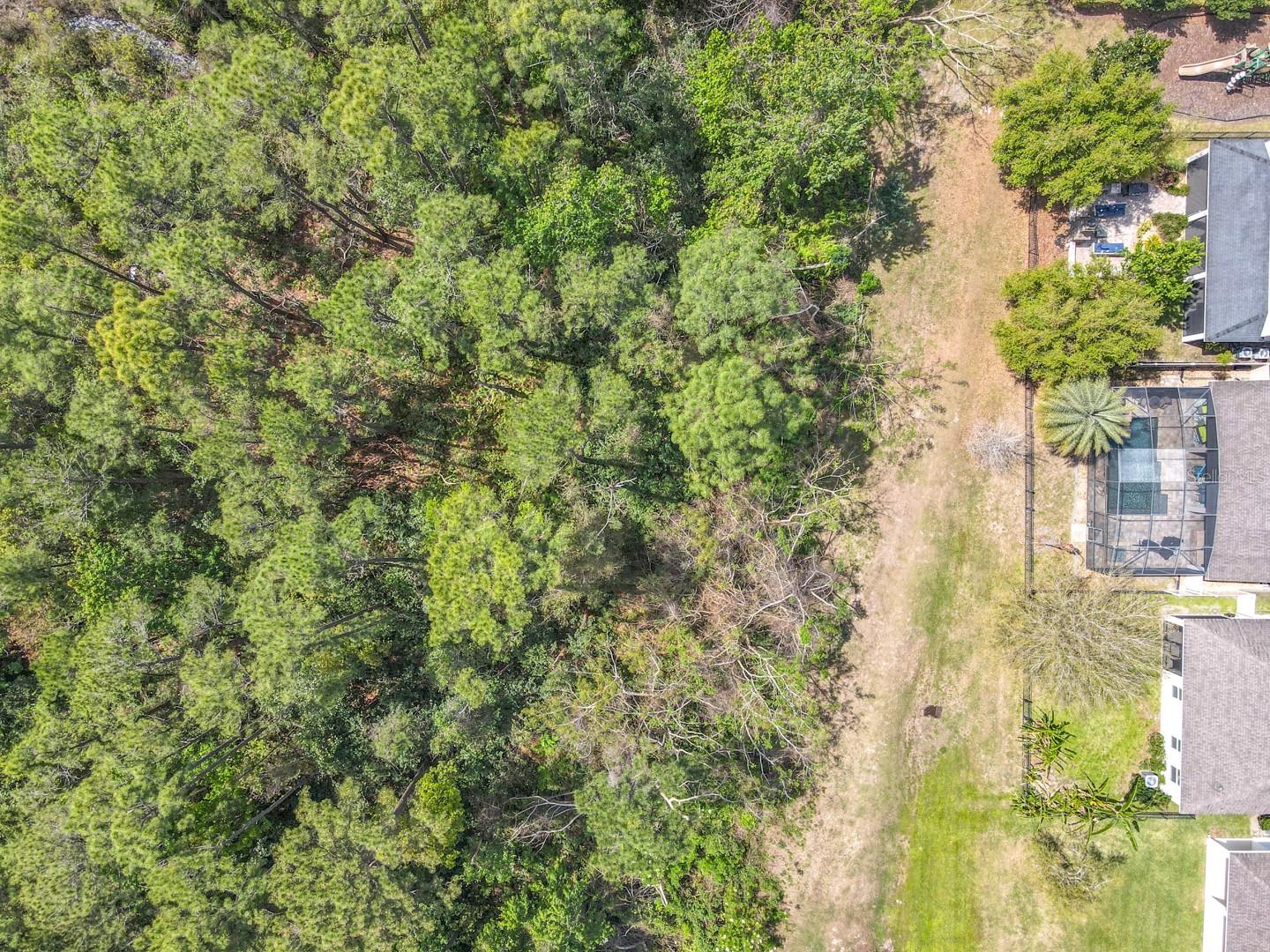1813 VISTA MEADOWS DR, OCOEE, FL, 34761