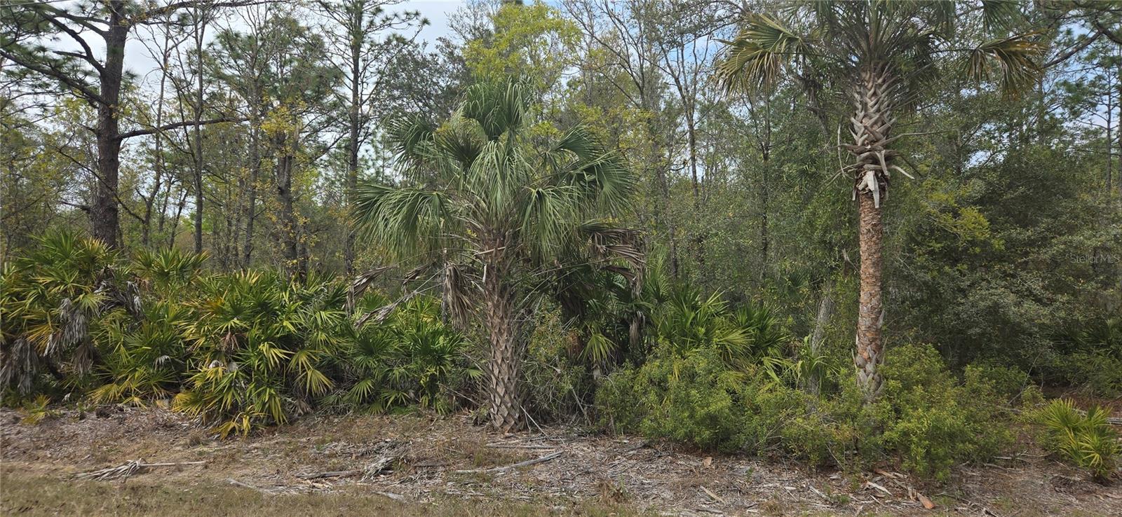 10889 W KERRY LN, CRYSTAL RIVER, FL, 34428