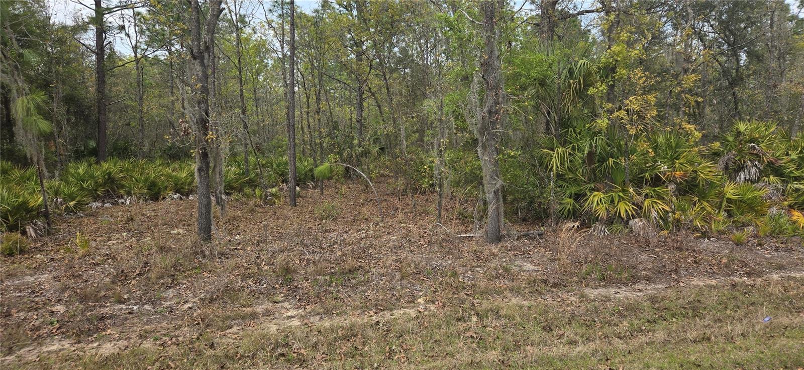 10889 W KERRY LN, CRYSTAL RIVER, FL, 34428