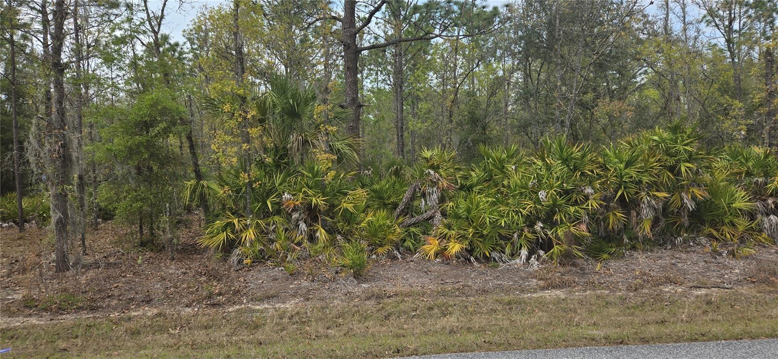 10889 W KERRY LN, CRYSTAL RIVER, FL, 34428