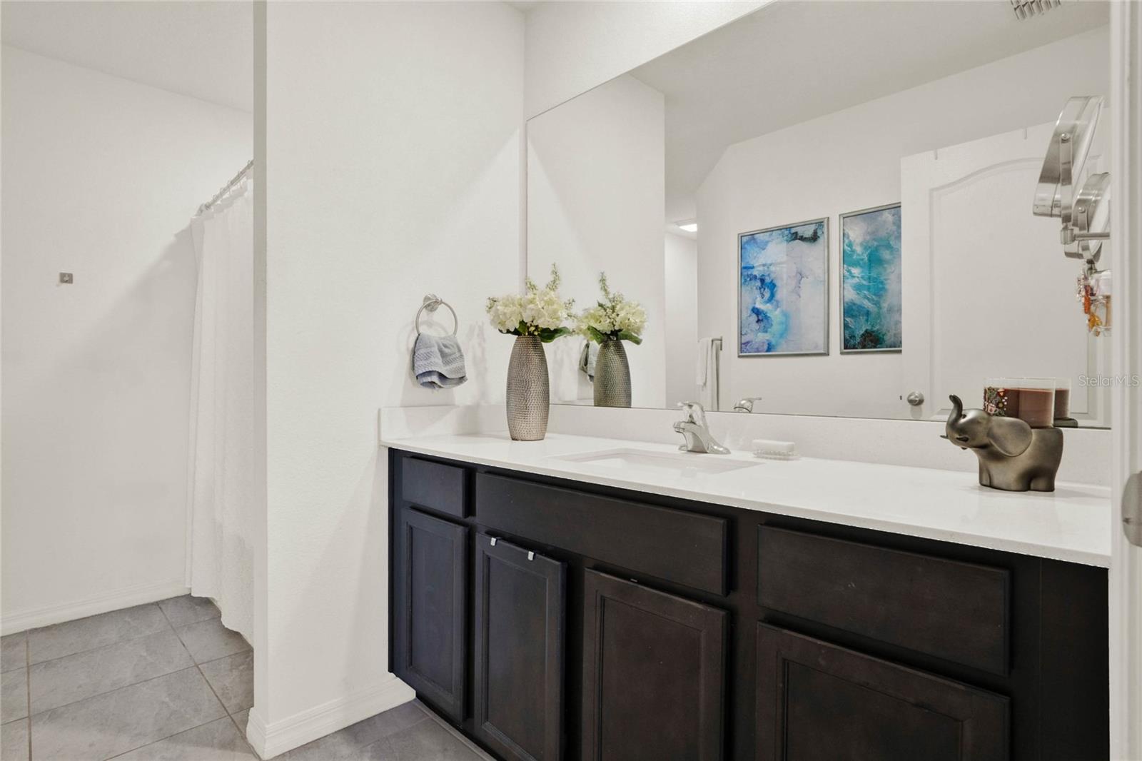 1579 SWAN LAKE CIR, DUNDEE, FL, 33838