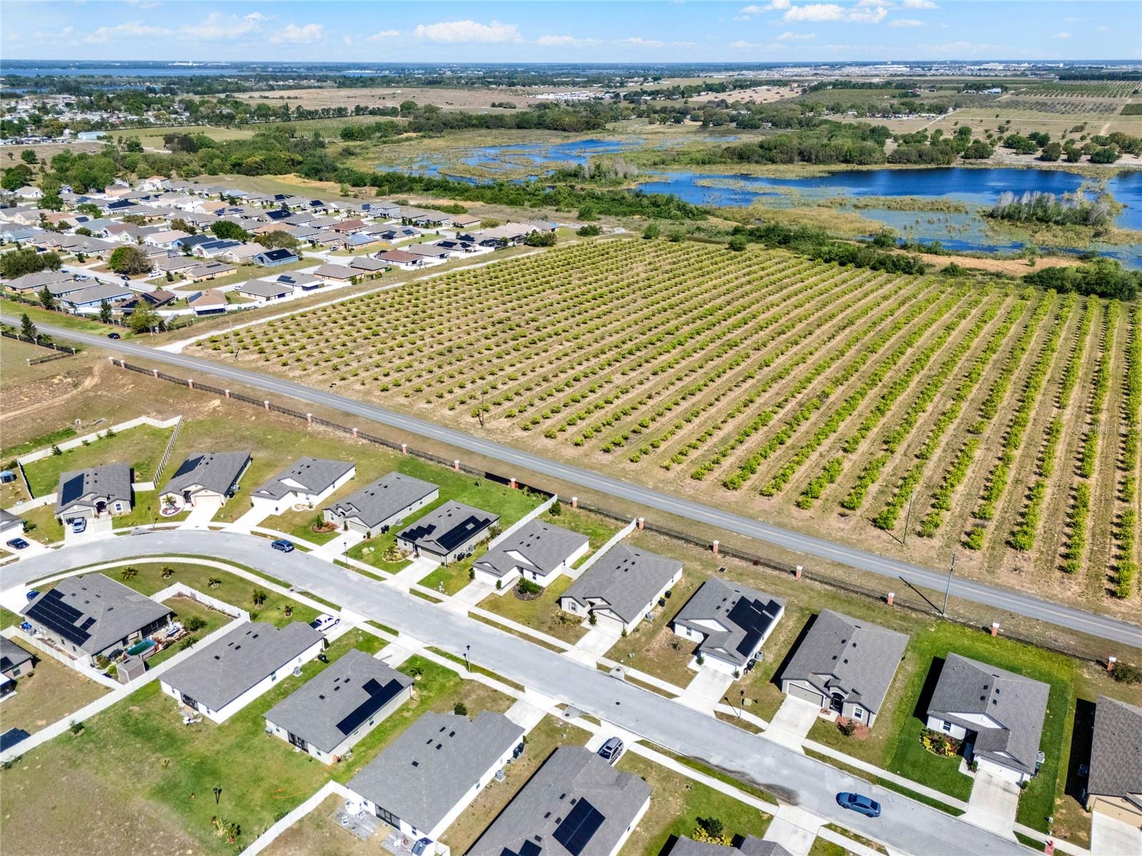 1579 SWAN LAKE CIR, DUNDEE, FL, 33838