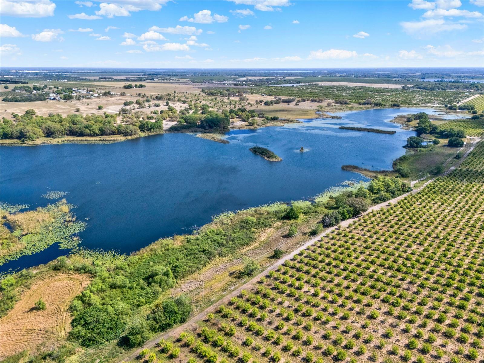 1579 SWAN LAKE CIR, DUNDEE, FL, 33838