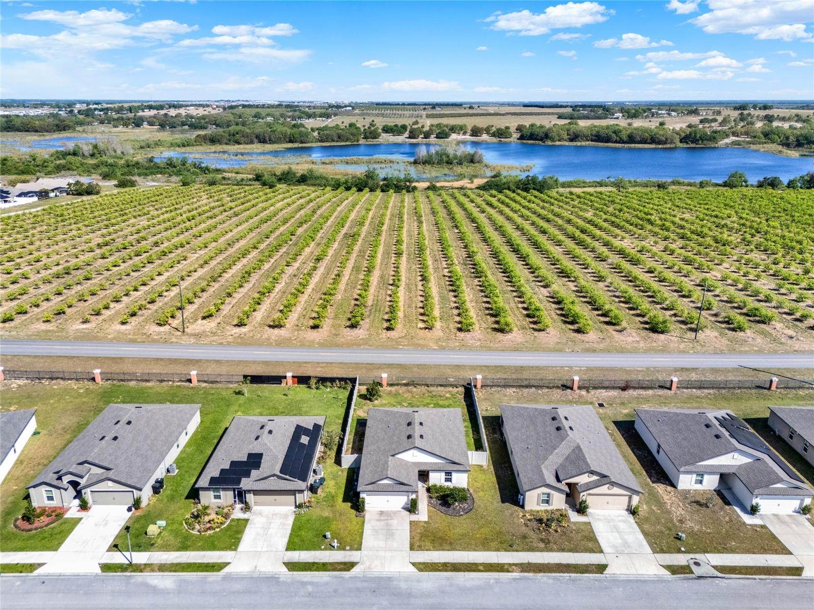 1579 SWAN LAKE CIR, DUNDEE, FL, 33838