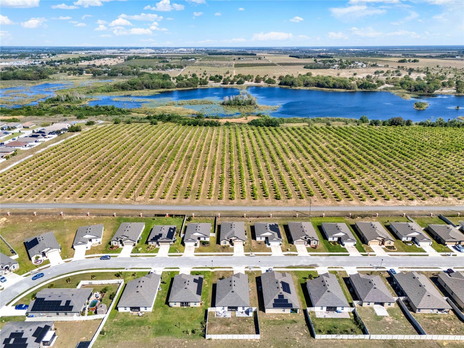 1579 SWAN LAKE CIR, DUNDEE, FL, 33838