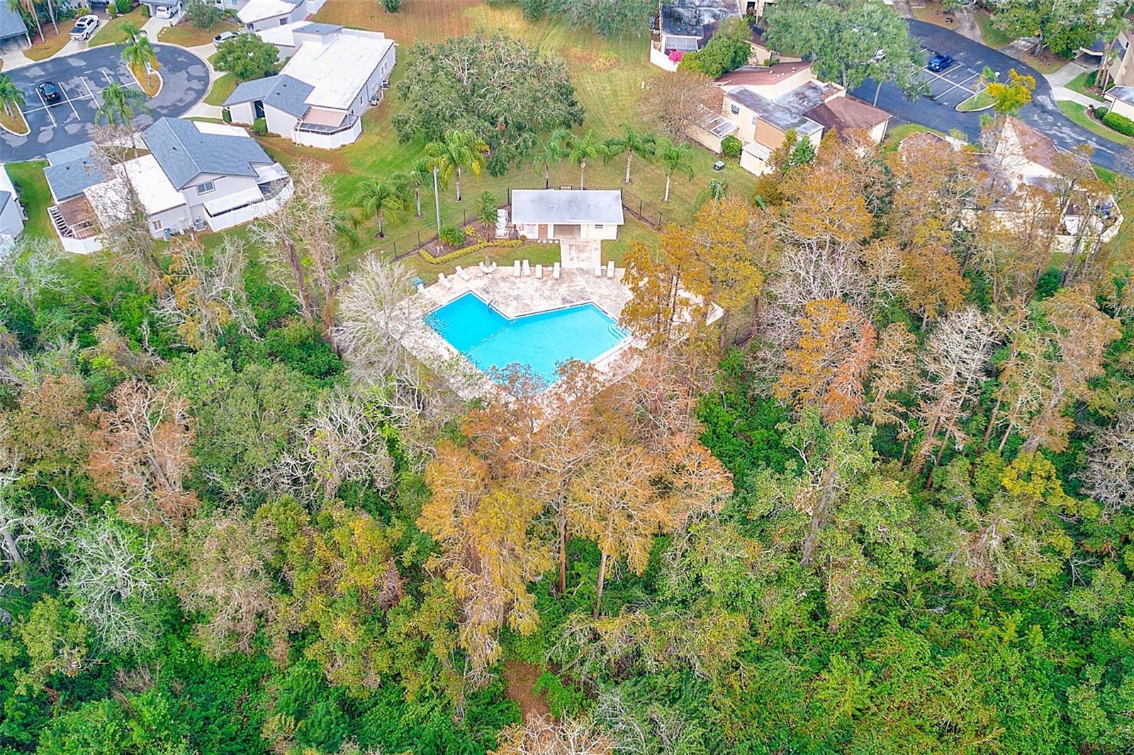 2581 FOREST RUN CT, CLEARWATER, FL, 33761