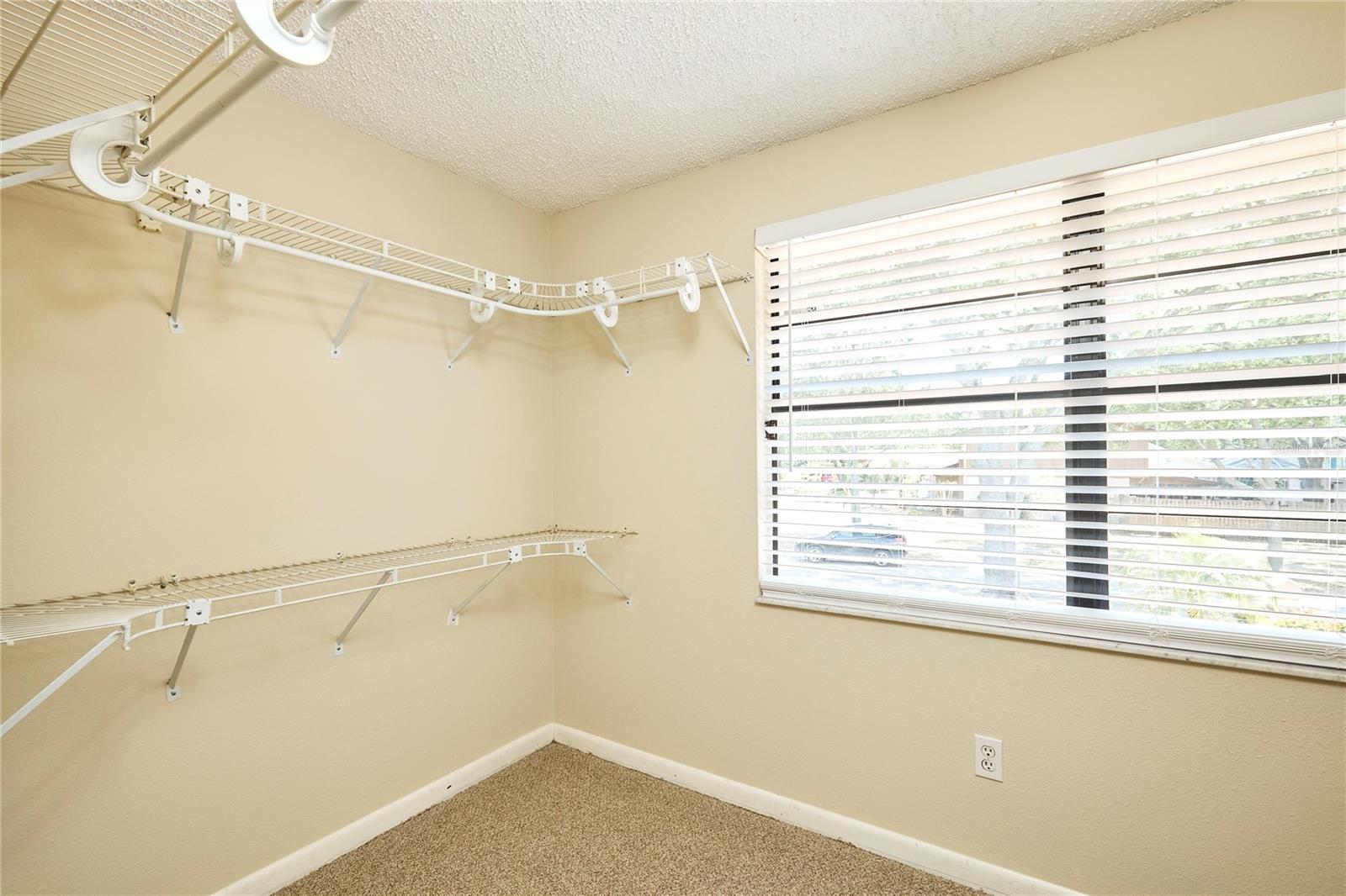 3103 TARAGROVE DR, TAMPA, FL, 33618