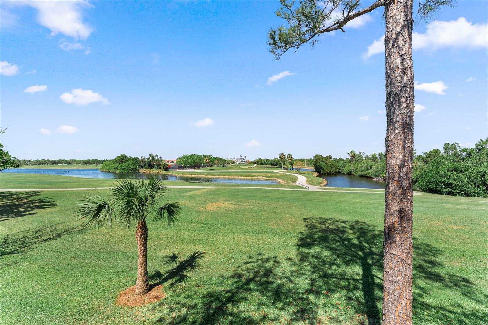 1901 OYSTER CATCHER LN #823, CLEARWATER, FL, 33762