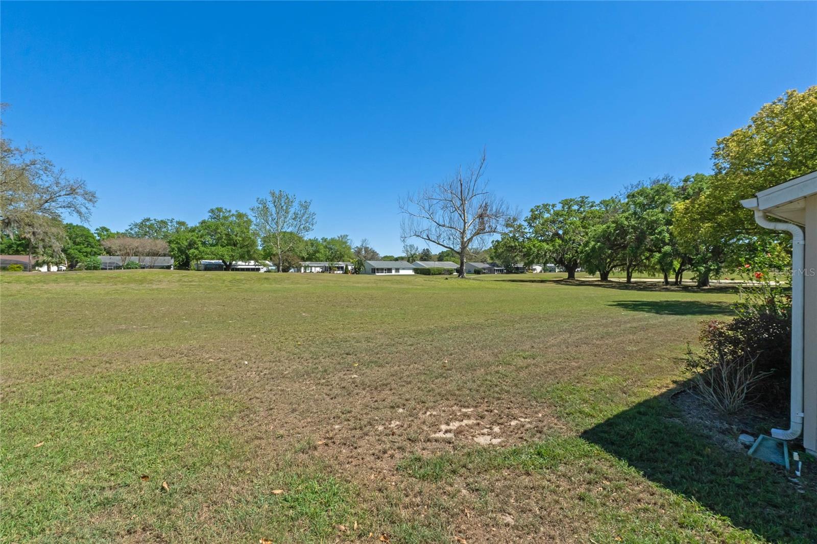 25642 OAK ALY, LEESBURG, FL, 34748