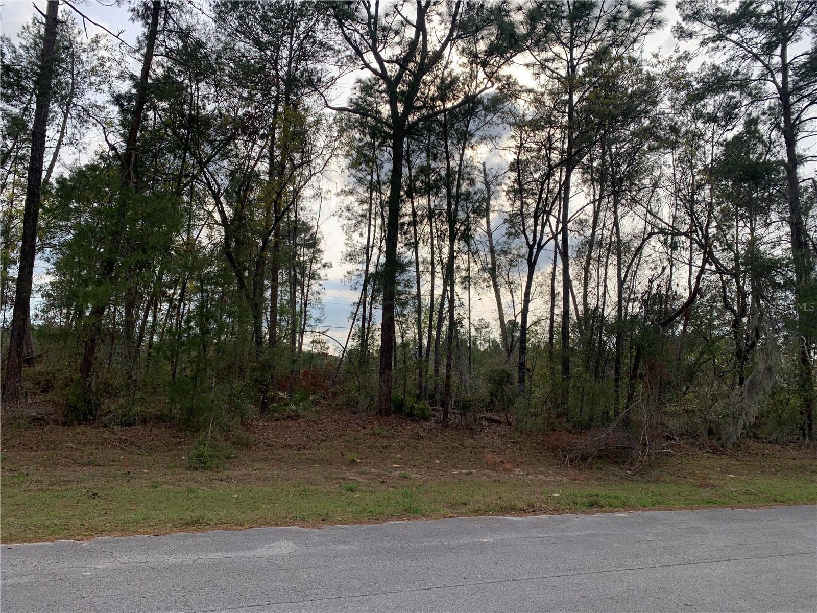 SW 172ND PLACE RD,, OCALA, FL, 34473