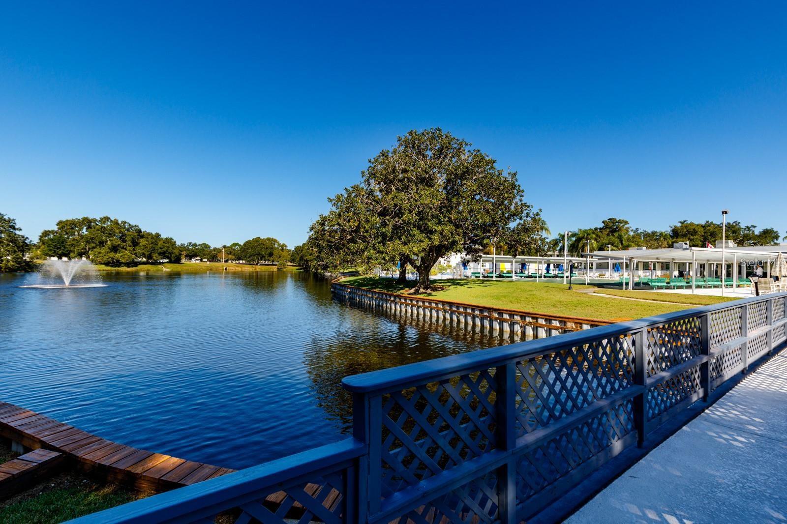 11200 86TH AVE #202, SEMINOLE, FL, 33772