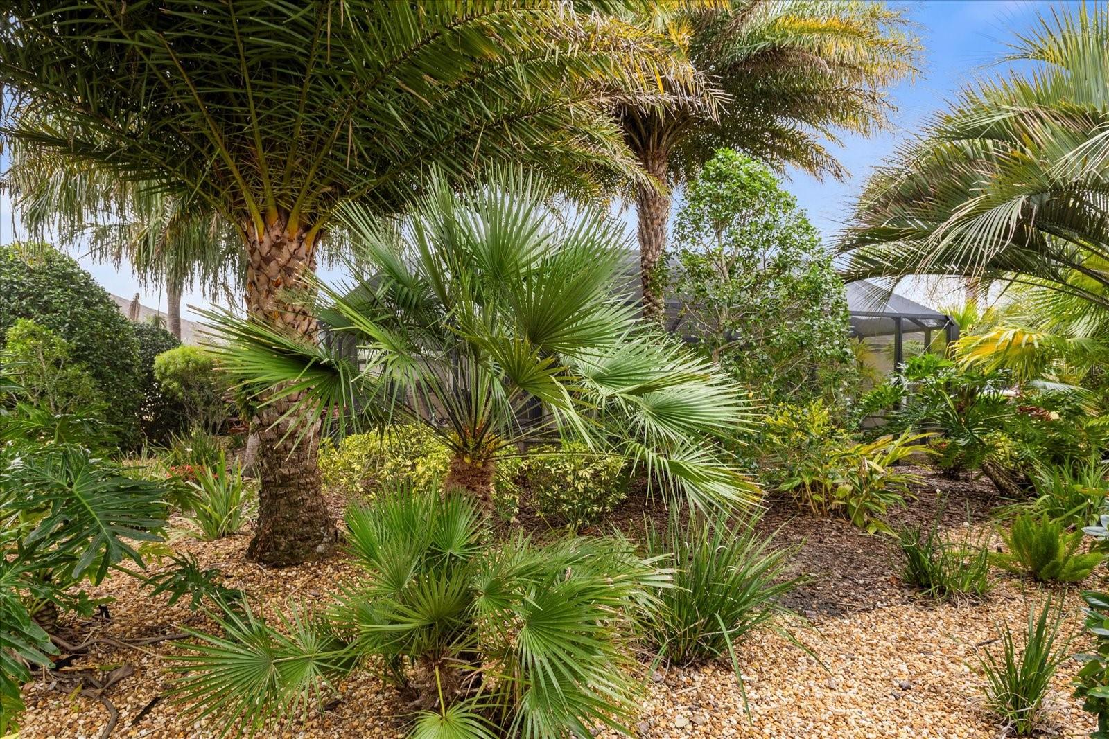 3219 ORANGEDALE TER, THE VILLAGES, FL, 32163