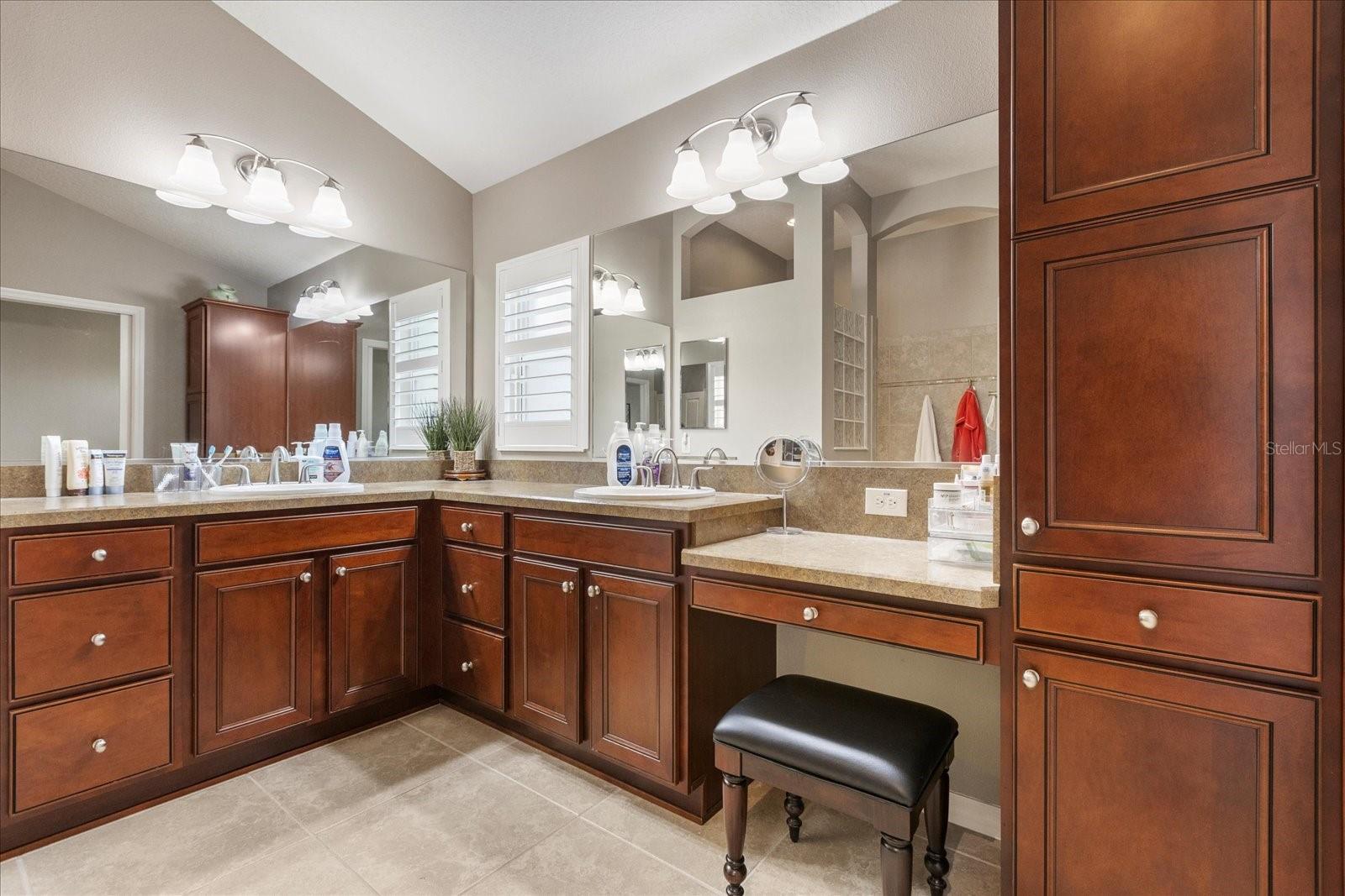 3219 ORANGEDALE TER, THE VILLAGES, FL, 32163