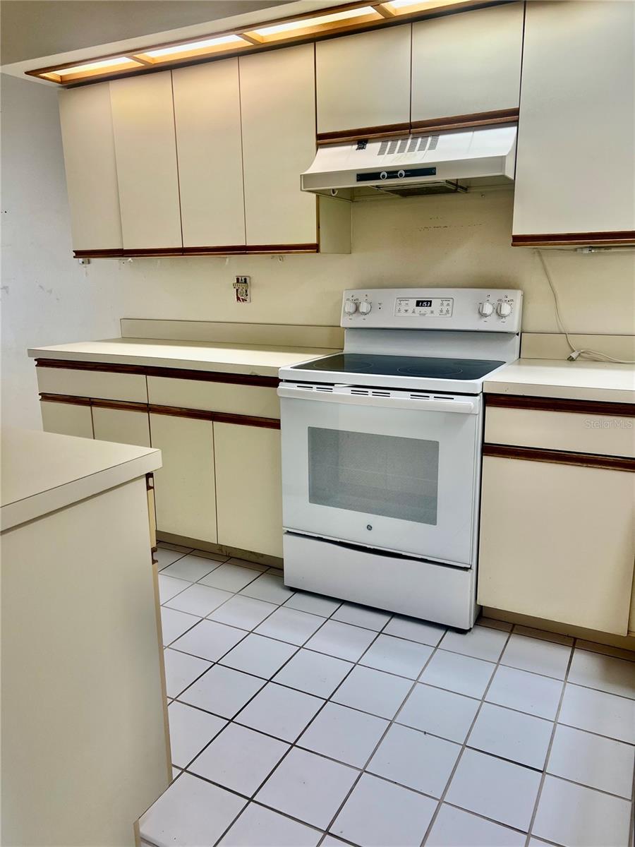 3629 INDIGO POND DR #3629, PALM HARBOR, FL, 34685