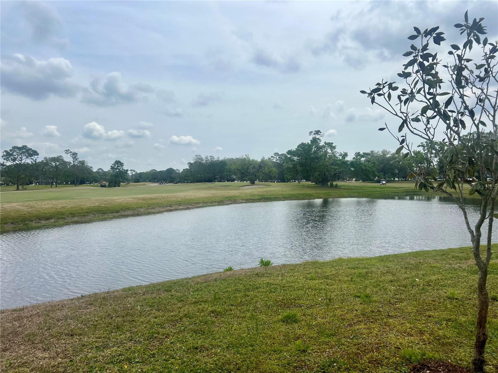 3629 INDIGO POND DR #3629, PALM HARBOR, FL, 34685