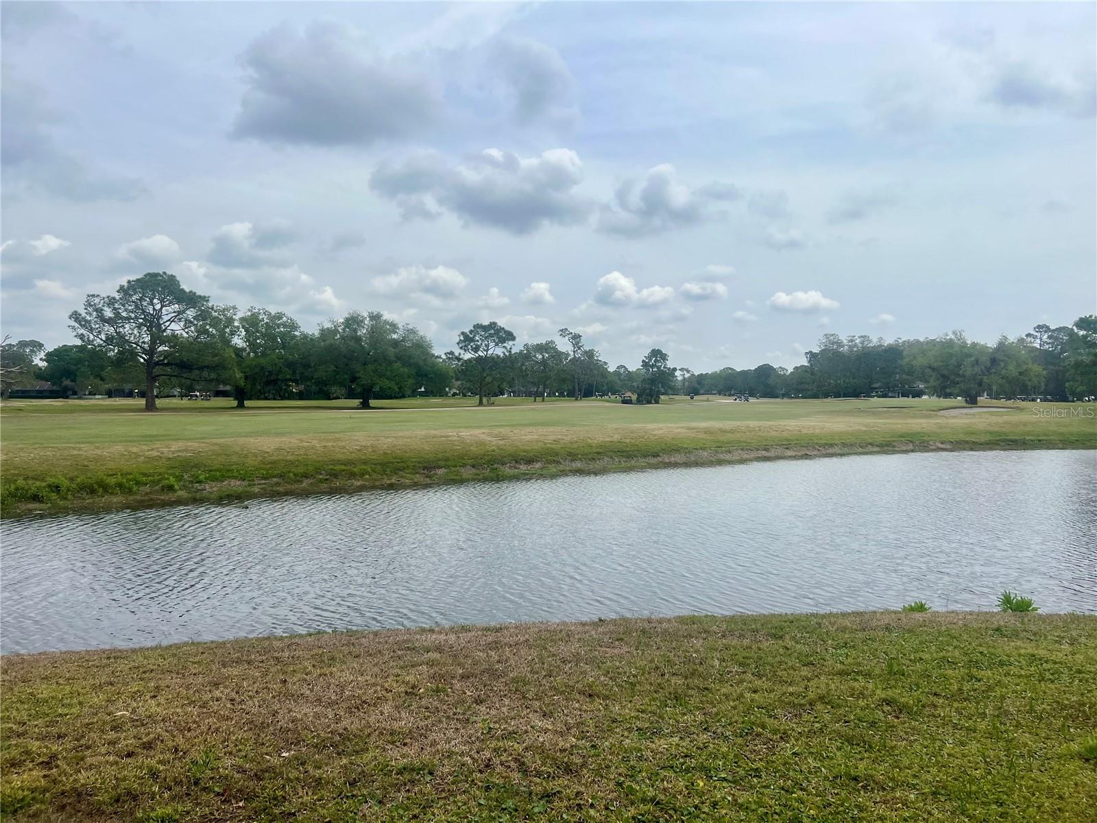 3629 INDIGO POND DR #3629, PALM HARBOR, FL, 34685