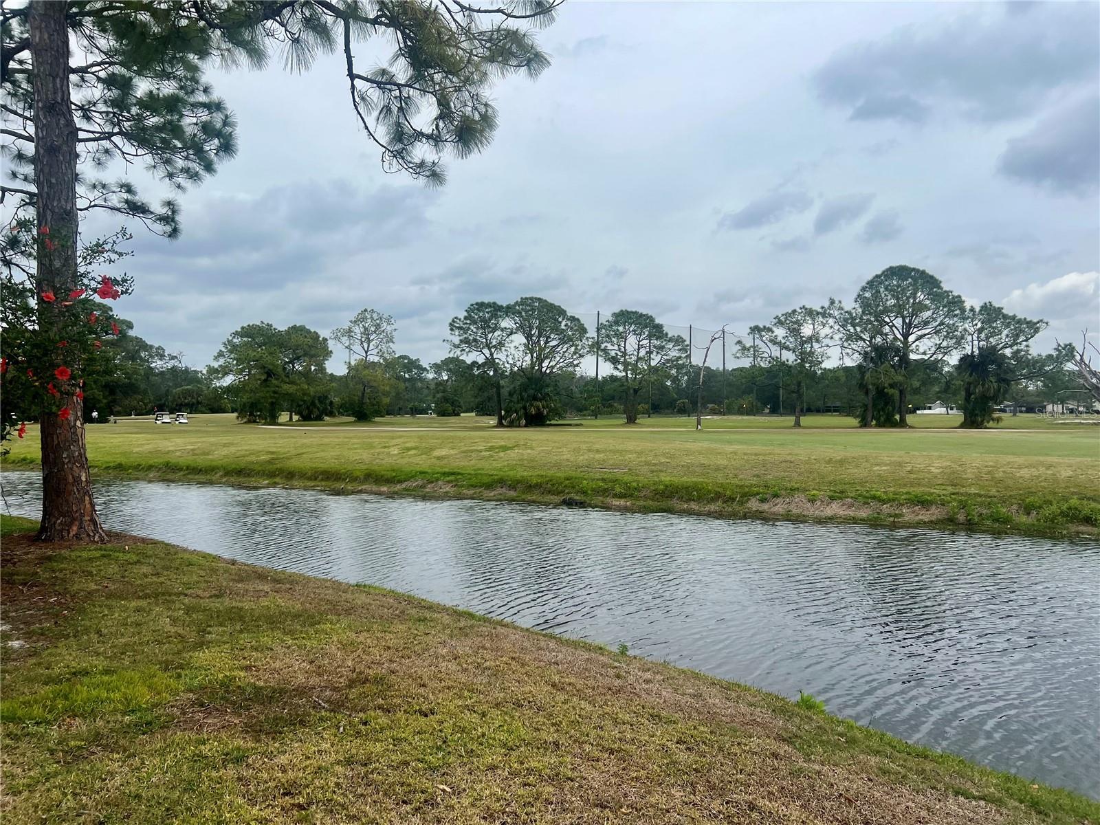 3629 INDIGO POND DR #3629, PALM HARBOR, FL, 34685