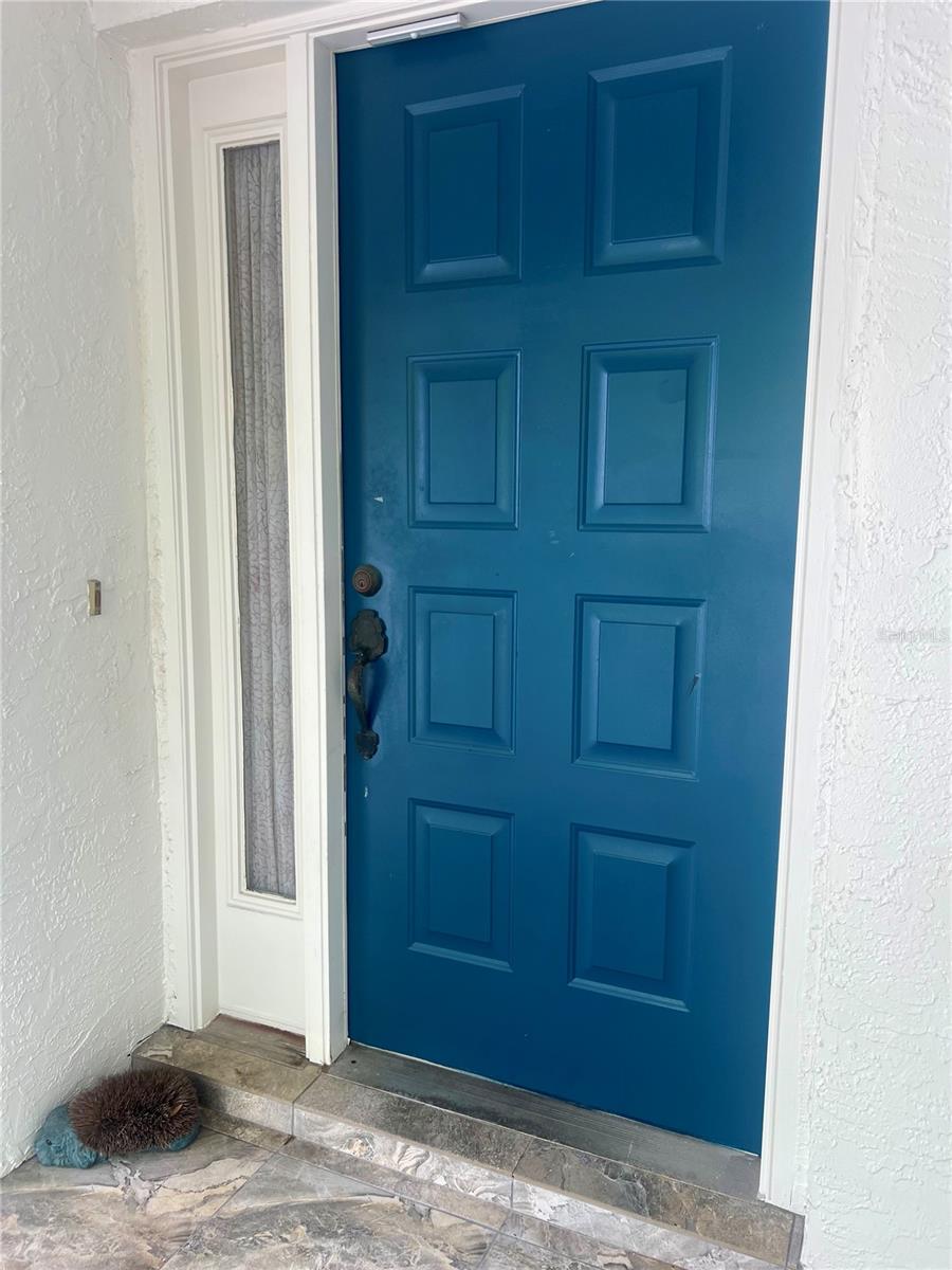 3629 INDIGO POND DR #3629, PALM HARBOR, FL, 34685