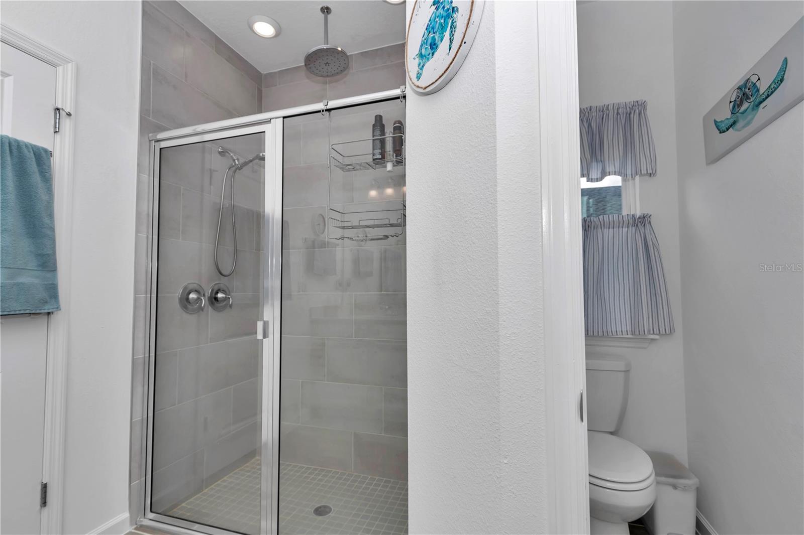 7536 SW 77TH AVE, OCALA, FL, 34481