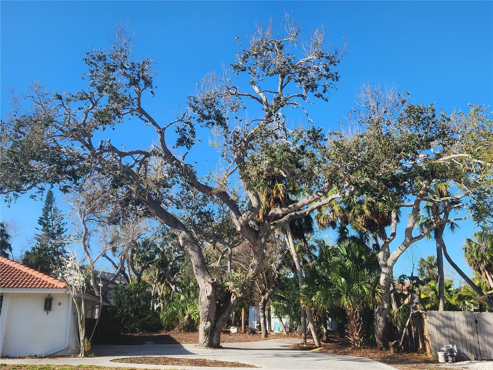 670 VENICE LN, SARASOTA, FL, 34242