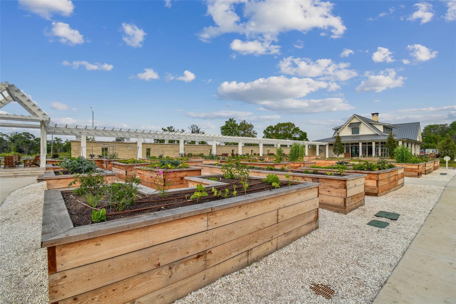 16710 SHELL BAY DR, LAND O LAKES, FL, 34638
