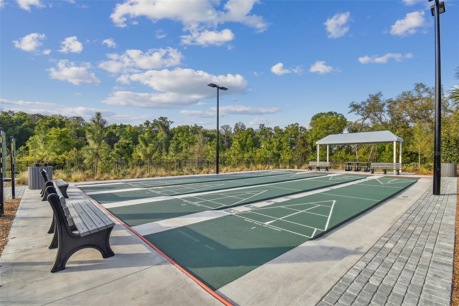 16710 SHELL BAY DR, LAND O LAKES, FL, 34638