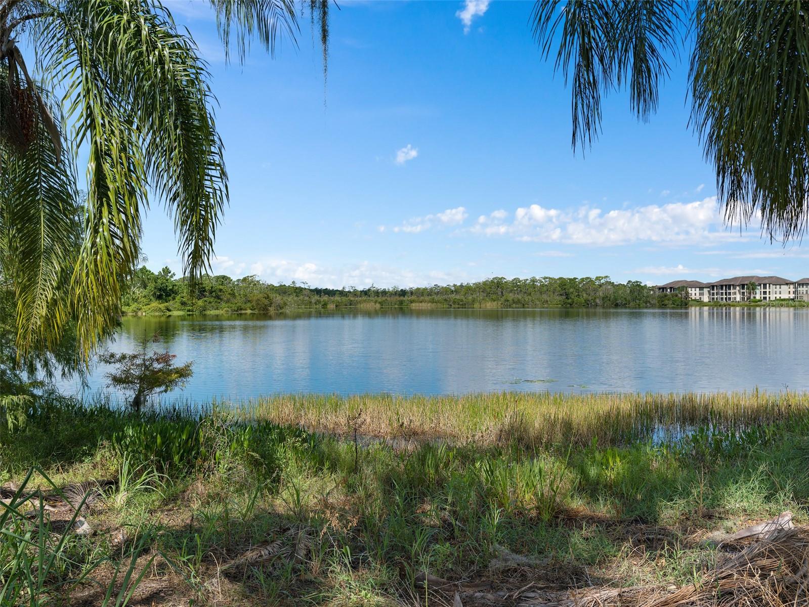 10765 VILLAGE LAKE RD, WINDERMERE, FL, 34786