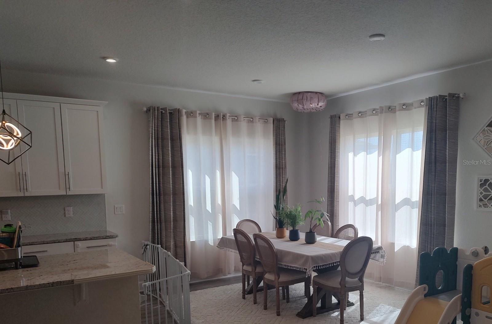 18234 FALLING PINE NEEDLE LN, LAND O LAKES, FL, 34638