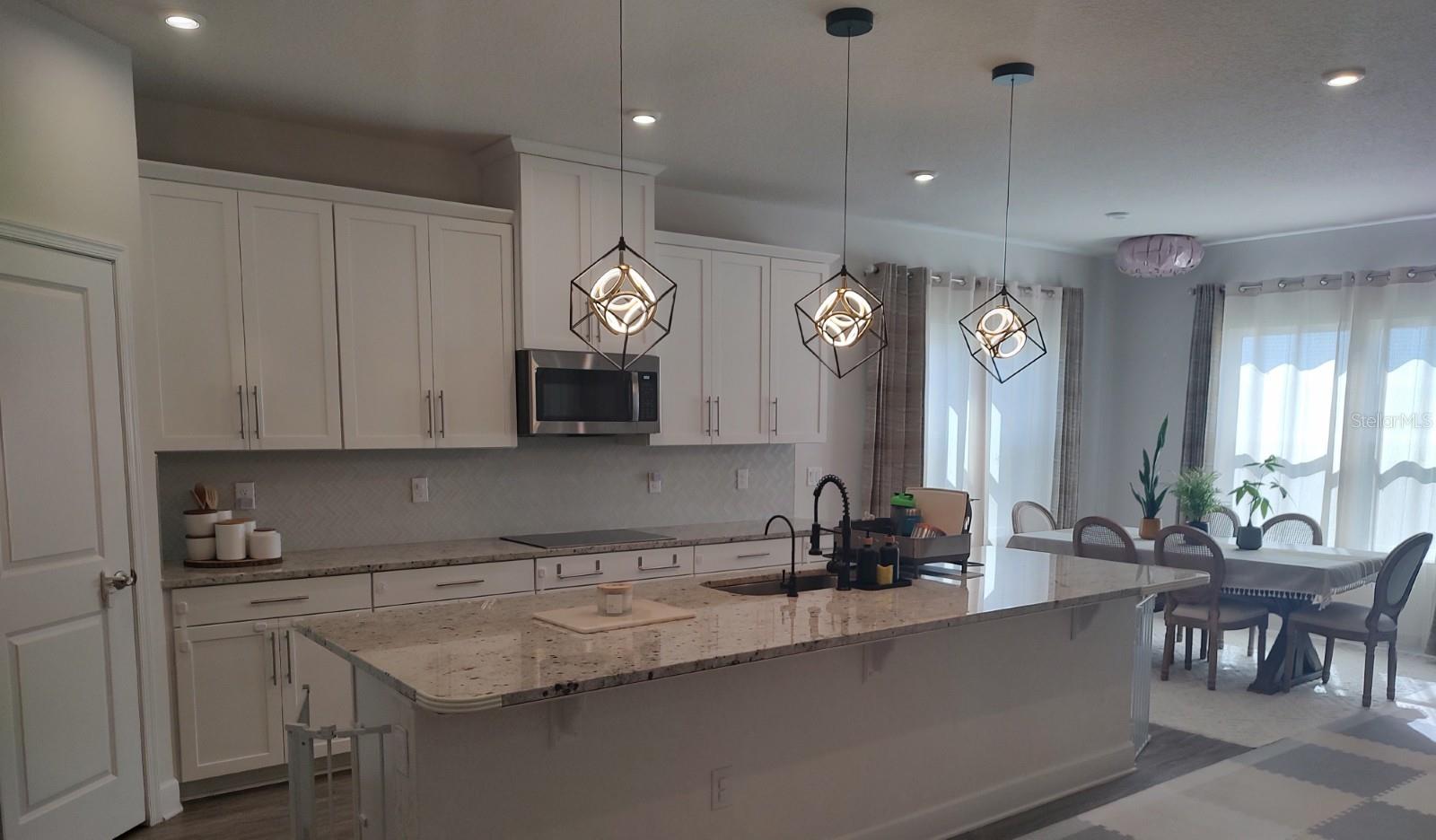 18234 FALLING PINE NEEDLE LN, LAND O LAKES, FL, 34638