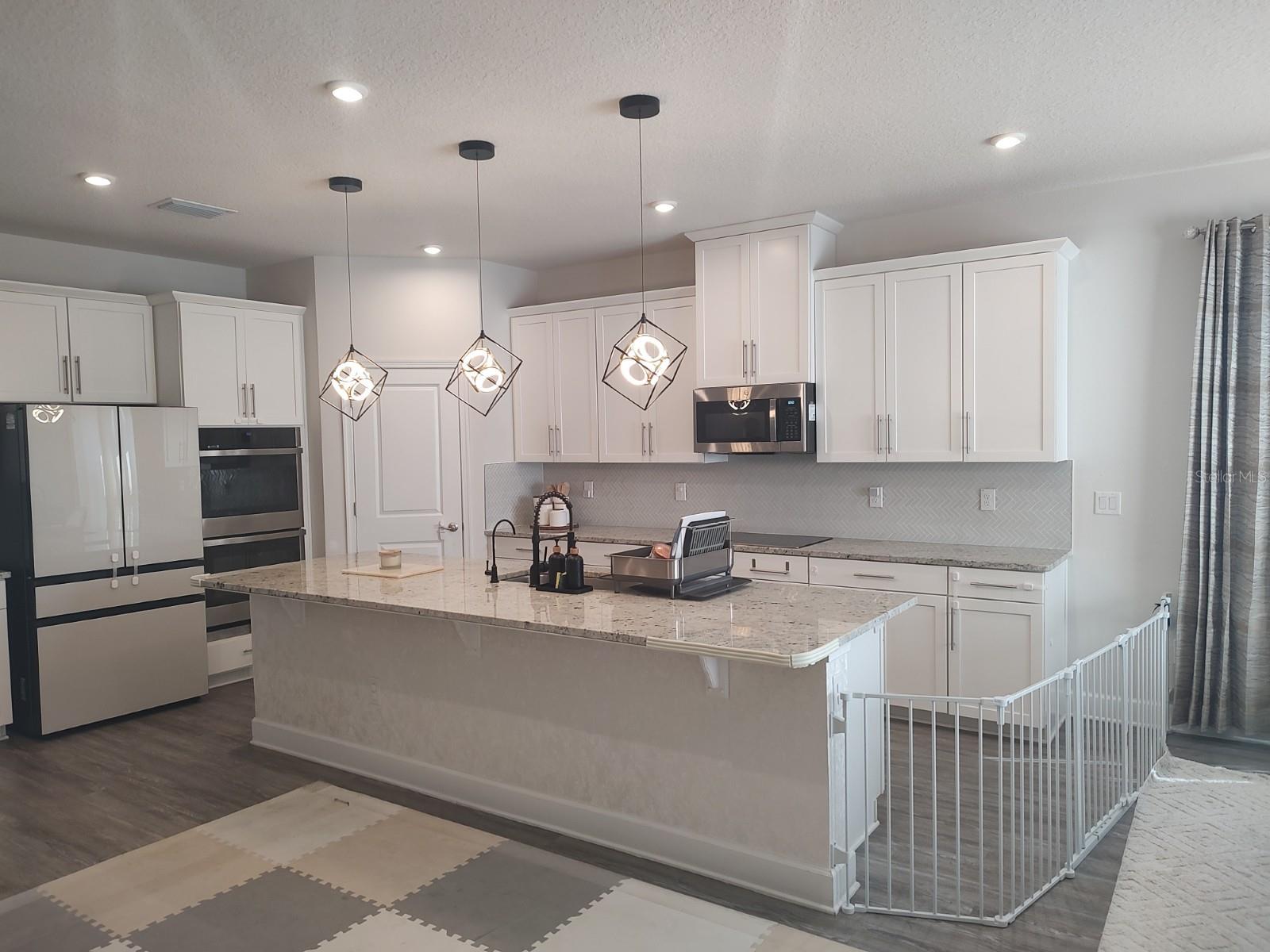 18234 FALLING PINE NEEDLE LN, LAND O LAKES, FL, 34638