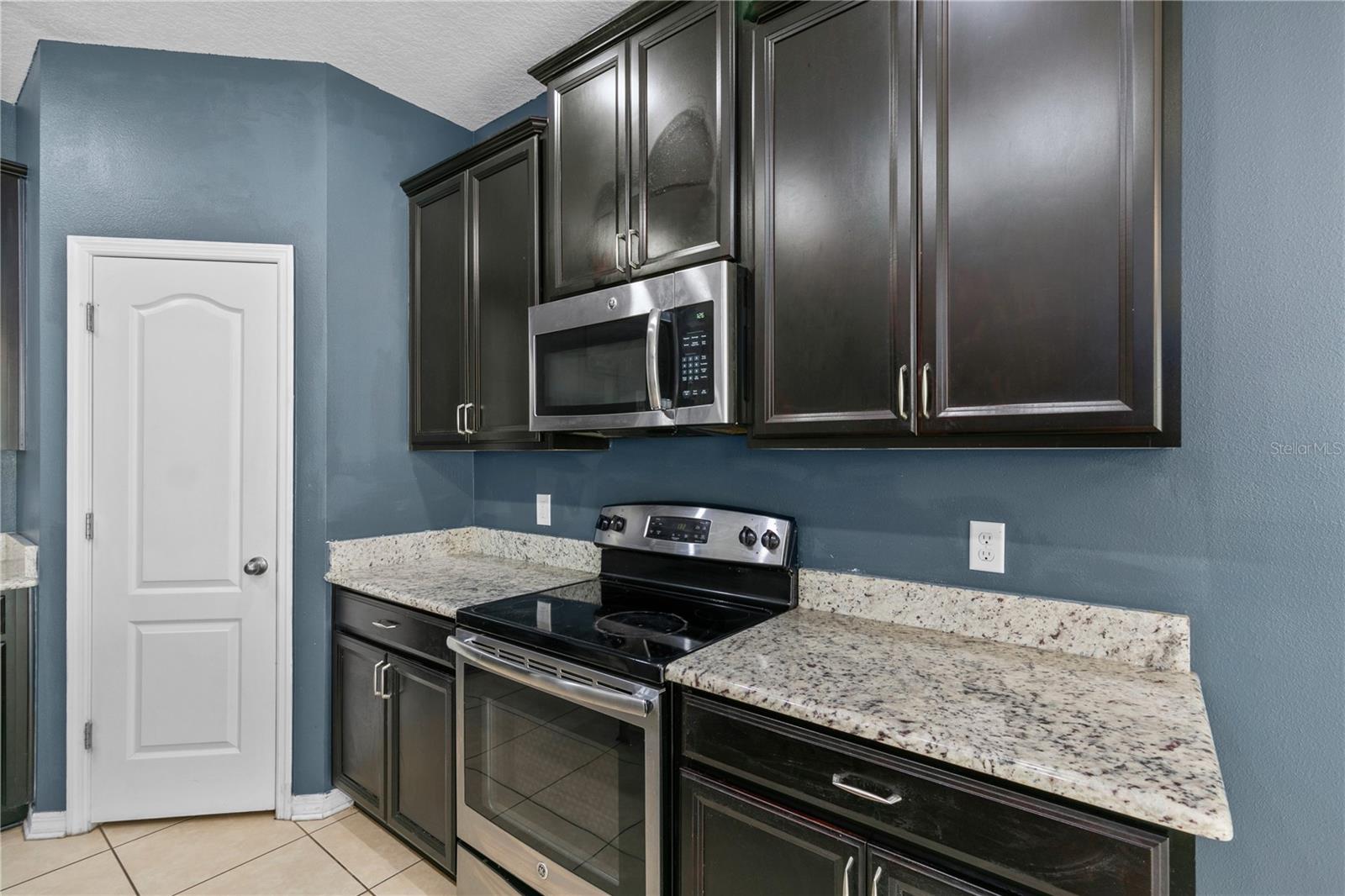 2572 LIMERICK CIR, GRAND ISLAND, FL, 32735
