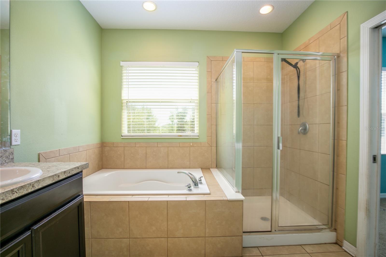 2572 LIMERICK CIR, GRAND ISLAND, FL, 32735